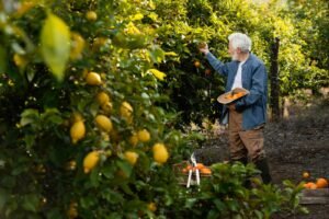 Kimberly Otis of Lemon Grove: A Journey of Resilience